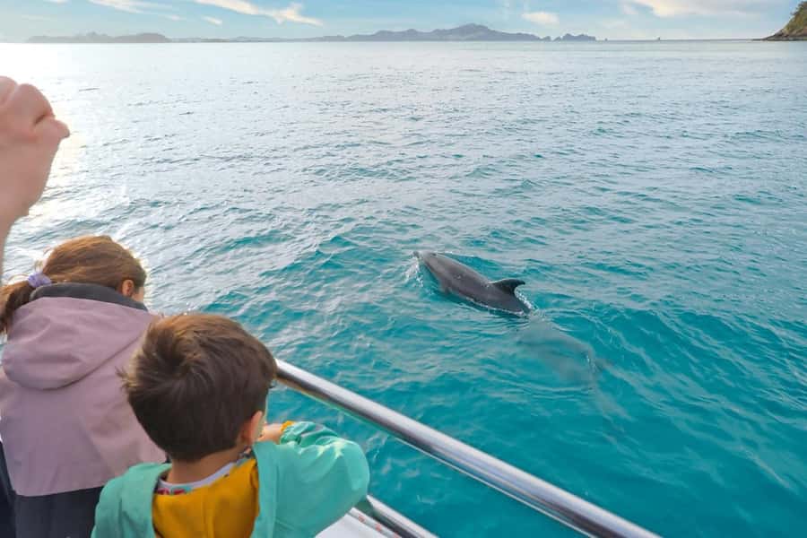 Auckland: Bay of Islands Tour & Cruise 2Day Small Group Tour - Opononi Beach brings a welcome change of pace