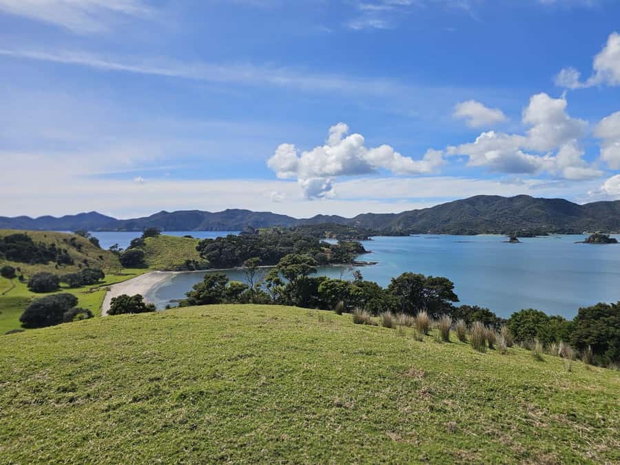 Auckland: Bay of Islands Tour & Cruise 2Day Small Group Tour - Day two belongs to the Bay of Islands