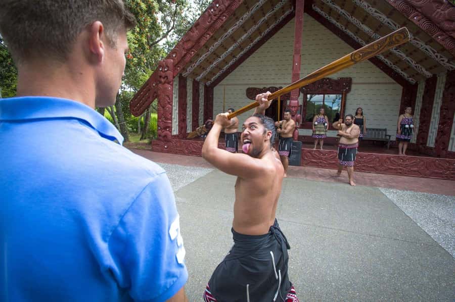Auckland: Bay of Islands Tour & Cruise 2Day Small Group Tour - The return to Auckland includes the guide’s local touch