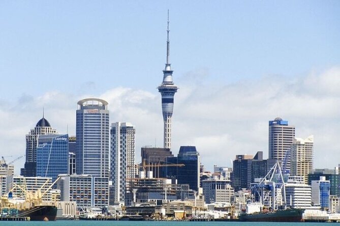 Auckland Best Street Food Tour With A Local Guide - What the food is likely to be like