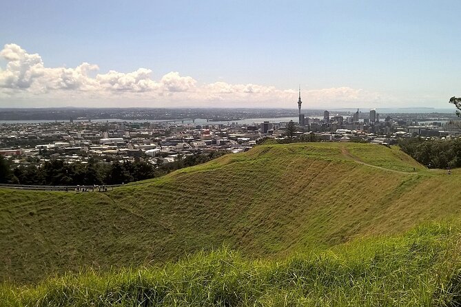 Auckland Best Top 5 Spots Half day Tour - Key points to know before booking