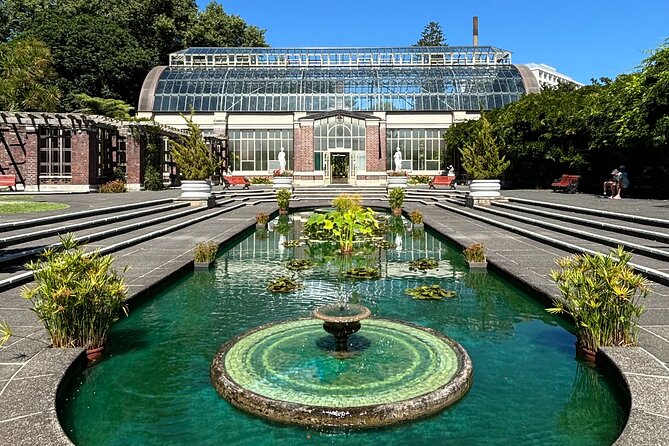 Auckland Best Top 5 Spots Half day Tour - Mission Bay and the Rangitoto view