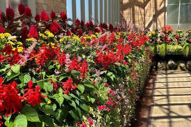 Auckland Best Top 5 Spots Half day Tour - Is three to four hours enough?