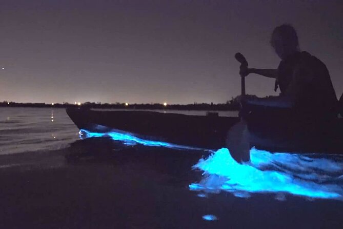 Auckland Bioluminescence Kayak Tour - What happens during the two-hour outing