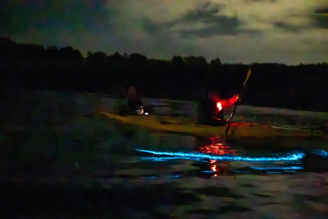 Auckland Bioluminescence Kayak Tour - Who will enjoy this Auckland night paddle