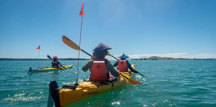 Auckland: Browns Island (Motukorea) Sea Kayak Tour - Key points to know before you book