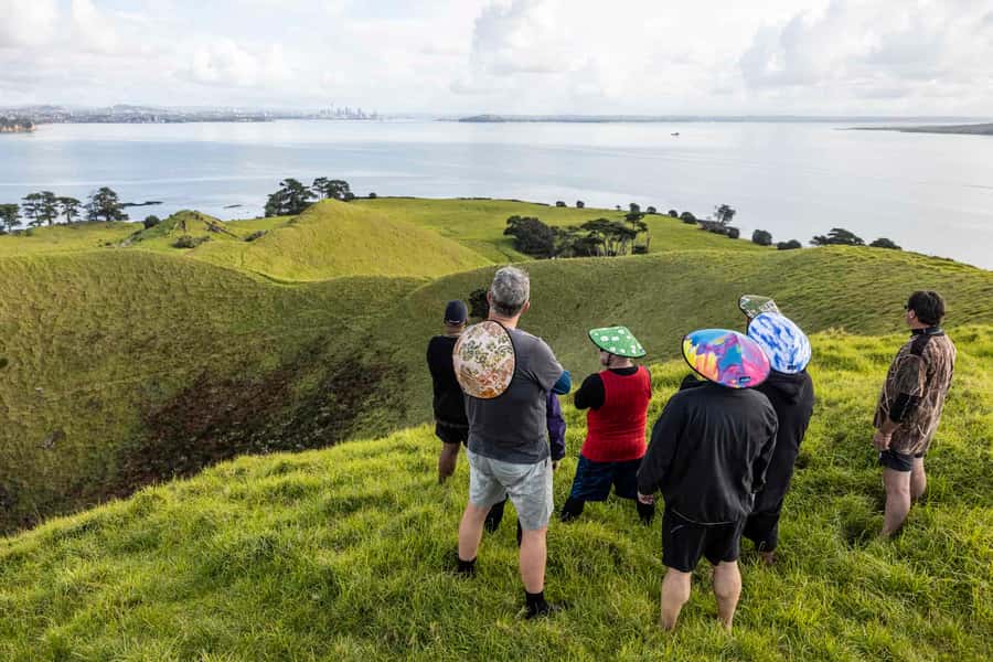 Auckland: Browns Island (Motukorea) Sea Kayak Tour - Birds, dolphins, whales, and the wider Gulf