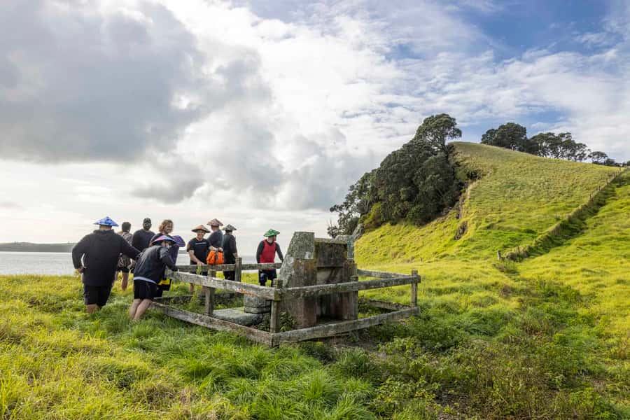 Auckland: Browns Island (Motukorea) Sea Kayak Tour - The return paddle and the full four-hour rhythm