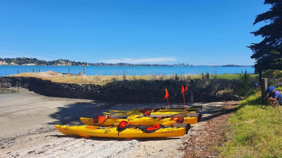 Auckland: Browns Island (Motukorea) Sea Kayak Tour - What the $89 price gets you
