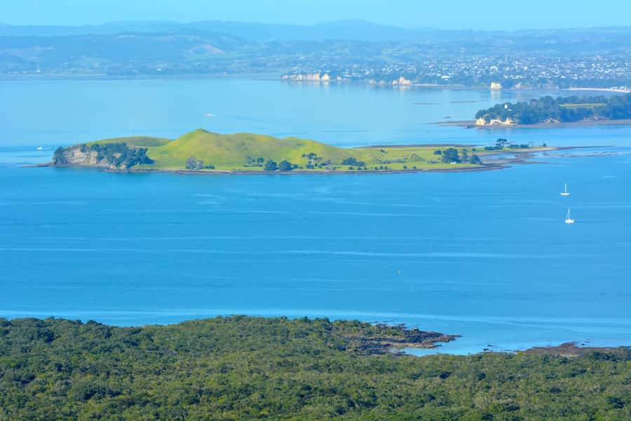 Auckland: Browns Island (Motukorea) Sea Kayak Tour - Who will enjoy this sea kayak tour most