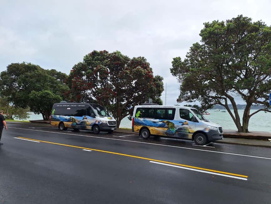 Auckland: Cathedral Cove and Coromandel Small Group Tours - Cathedral Cove is the reason to make the trip