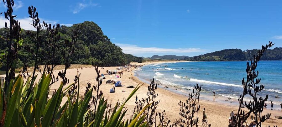 Auckland: Cathedral Cove and Coromandel Small Group Tours - Two tour patterns, one coastal route