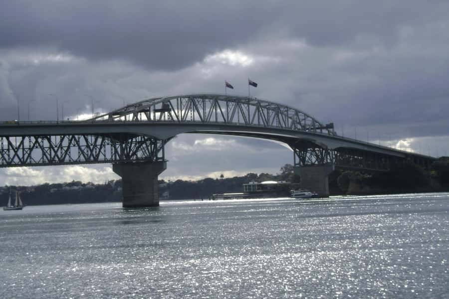 Auckland City, Beaches & Rainforest Premium Small Group Tour - A city-to-coast day with real contrast