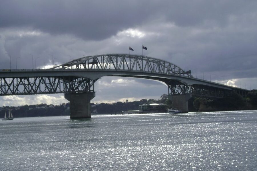 Auckland City, Beaches & Rainforest Premium Small Group Tour - Piha Beach and Auckland’s wild western edge
