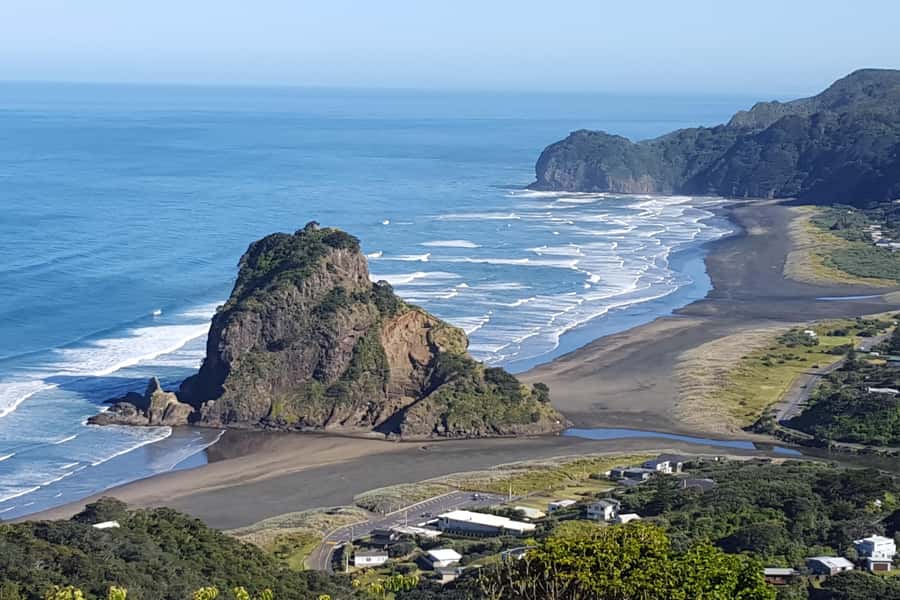 Auckland City, Beaches & Rainforest Premium Small Group Tour - Weather, footwear, and the practical details