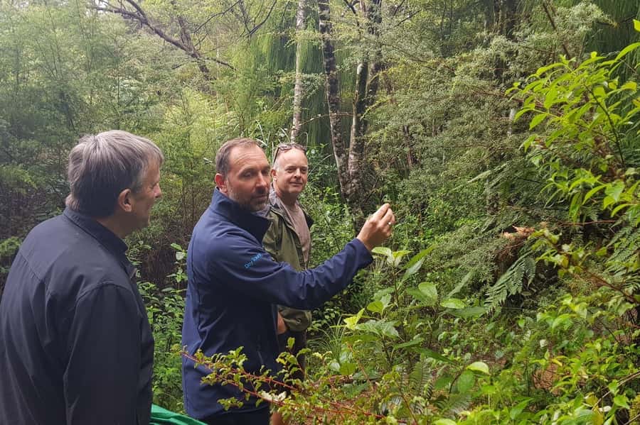 Auckland City, Beaches & Rainforest Premium Small Group Tour - Should you book Auckland City, Beaches & Rainforest?