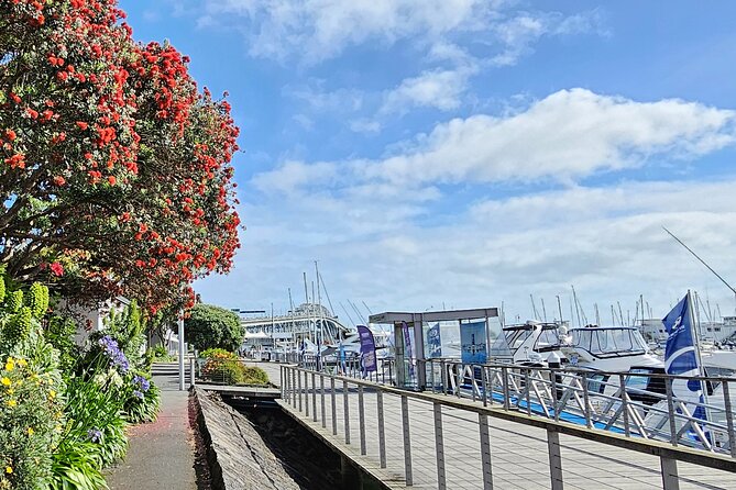 Auckland City Halfday Guide Tour - Why this Auckland half-day works well for first visits