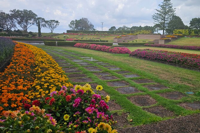 Auckland City Halfday Guide Tour - Parnell Rose Gardens closes with color