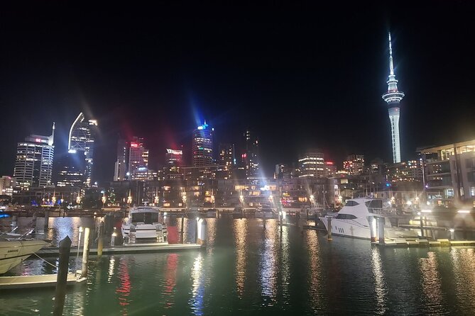Auckland City Halfday Private Tour - Auckland in One Comfortable Sweep