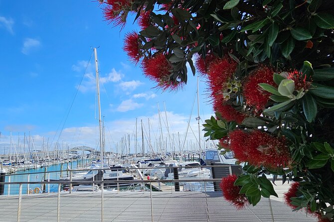 Auckland City Halfday Private Tour - Maungawhau and Auckland’s Volcanic Past