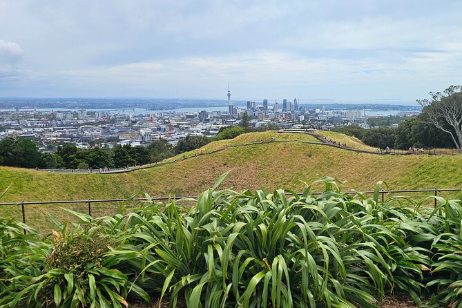 Auckland City Halfday Private Tour - Is $130.32 Per Person Good Value?