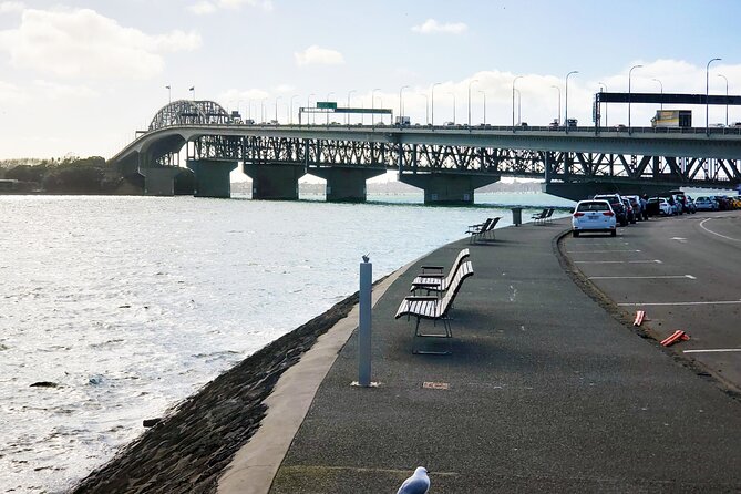 Auckland City Halfday Private Tour - Boats and Skyline at Westhaven Marina