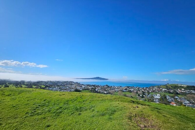 Auckland City Halfday Tour - Why this four-hour route works