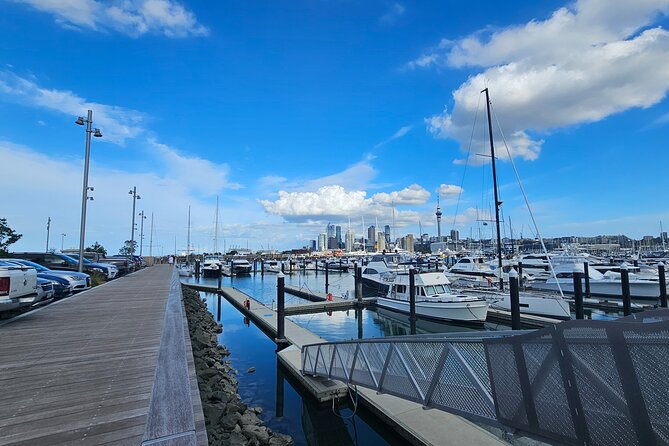 Auckland City Halfday Tour - Kauri Glen Reserve and native bush