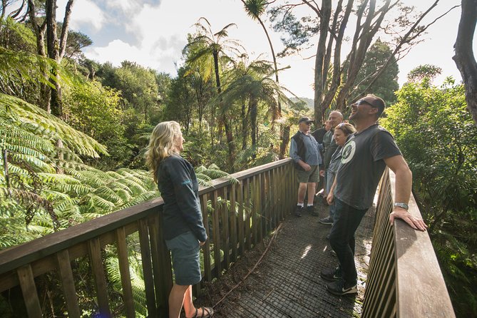 Auckland City Highlights, Afternoon Piha Beach & Rainforest Tour - Why this makes sense on your first Auckland day