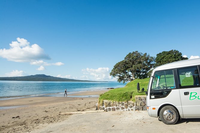Auckland City Highlights, Afternoon Piha Beach & Rainforest Tour - A 45-minute walk beneath tree ferns