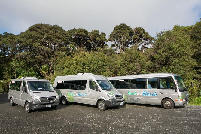 Auckland City Highlights, Afternoon Piha Beach & Rainforest Tour - Piha Beach delivers the day’s boldest view