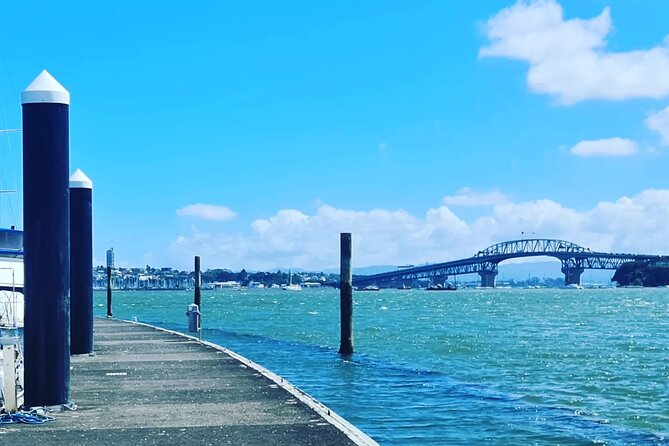 Auckland City Highlights Full Day Tour - What the guide adds to the experience