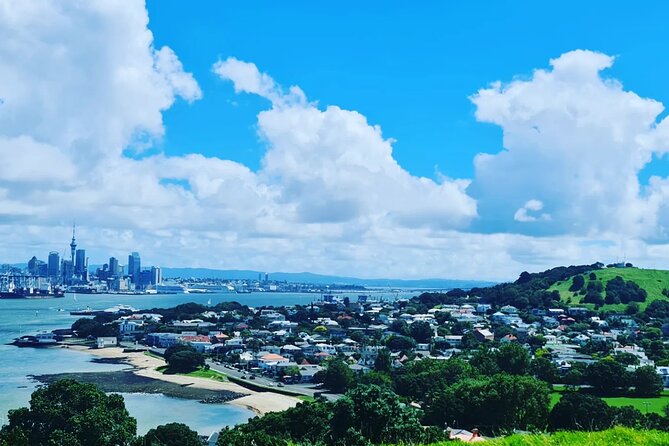 Auckland City Highlights Full Day Tour - Who should book this Auckland tour?