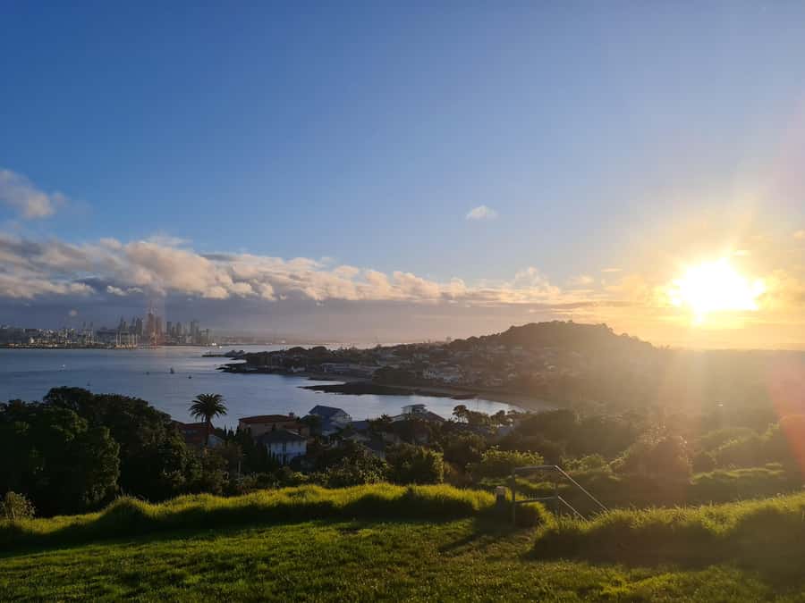 Auckland City Highlights Half Day Tour - Why this Auckland tour works when time is short