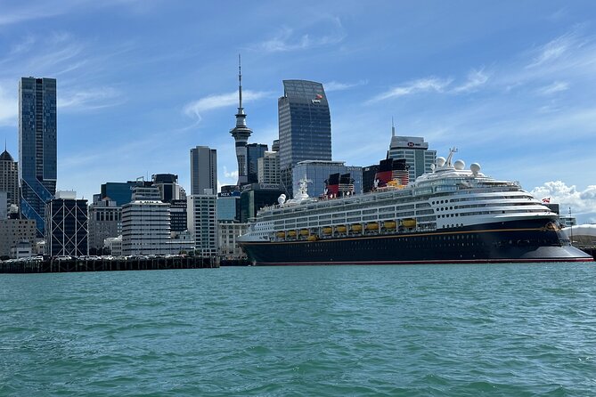 Auckland City Highlights Tour by Car or Van - Parnell and the older residential districts