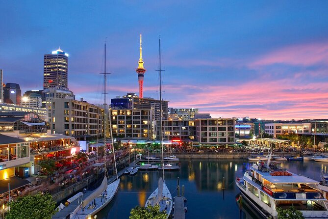 Auckland City Hotel to Cruise Ship Transfer by SUV - Cancellation and practical flexibility
