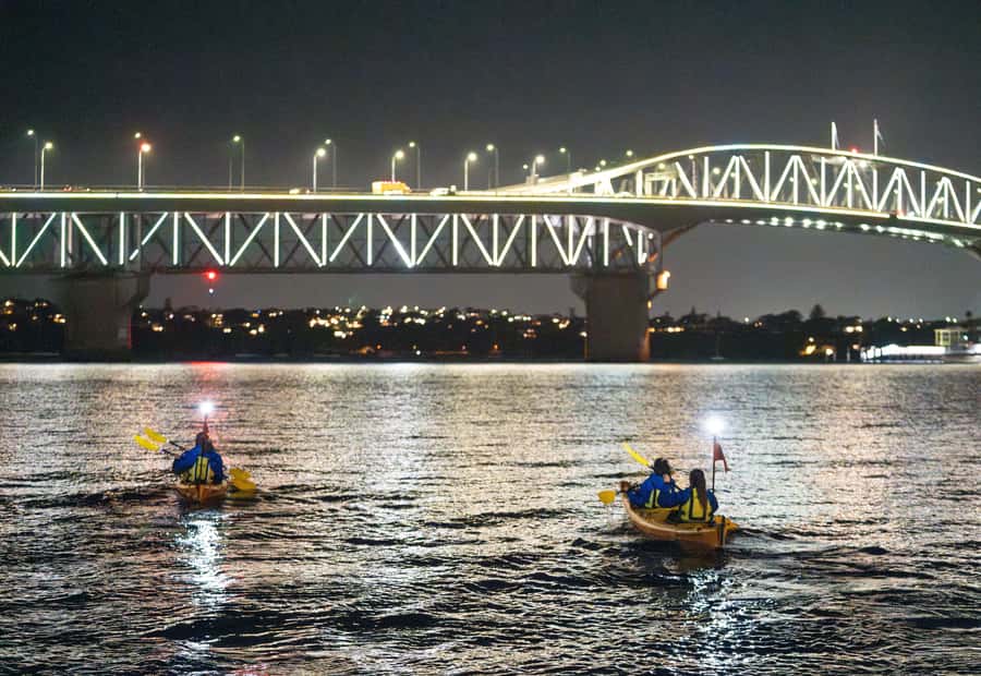 Auckland: City Lights Night Kayak Tour - Key points to know before you paddle