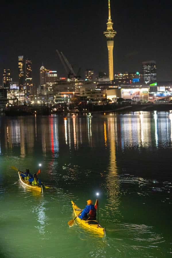 Auckland: City Lights Night Kayak Tour - Meeting the Harbour Bridge from water level