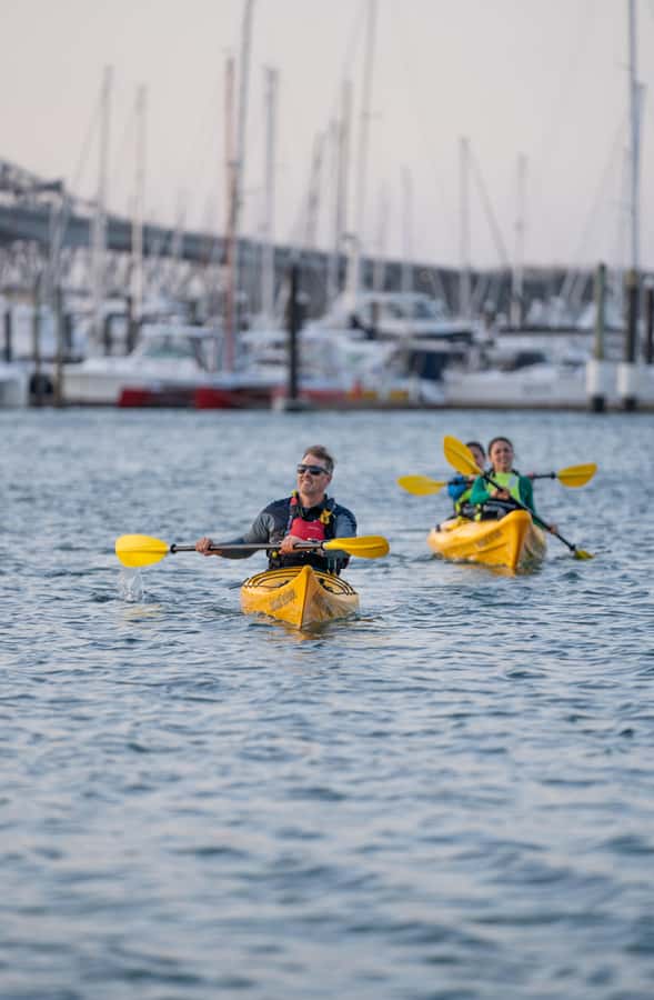 Auckland: City Lights Night Kayak Tour - Why the small group and guide matter