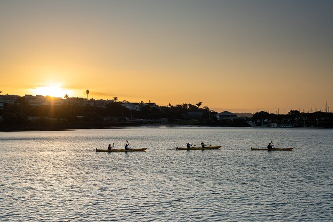 Auckland City Lights Night Kayaking Tour - Under the Auckland Harbour Bridge