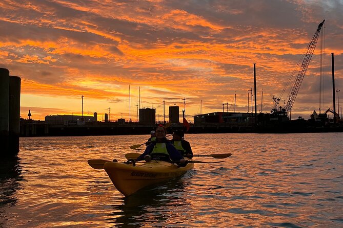 Auckland City Lights Night Kayaking Tour - Is $83.78 a fair price?