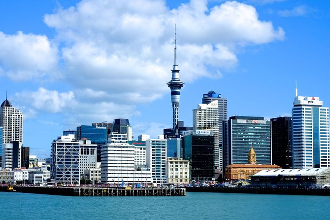 Auckland City & Native Forest Experience - Fully Guided Day Tour - Key points to know before booking