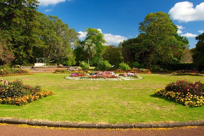 Auckland City & Native Forest Experience - Fully Guided Day Tour - Piha Beach and Lion Rock