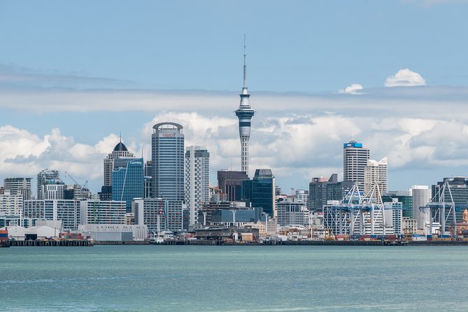 Auckland City & Native Forest Experience - Fully Guided Day Tour - Harbour Bridge and Westhaven Marina