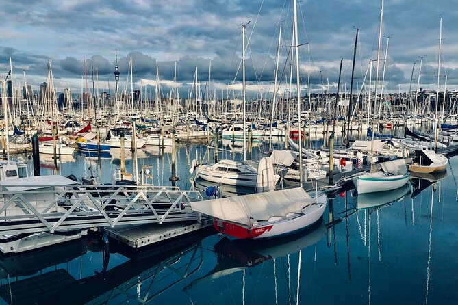 Auckland City Top Sights Half Day Tour - Small Group - Key points to know before booking