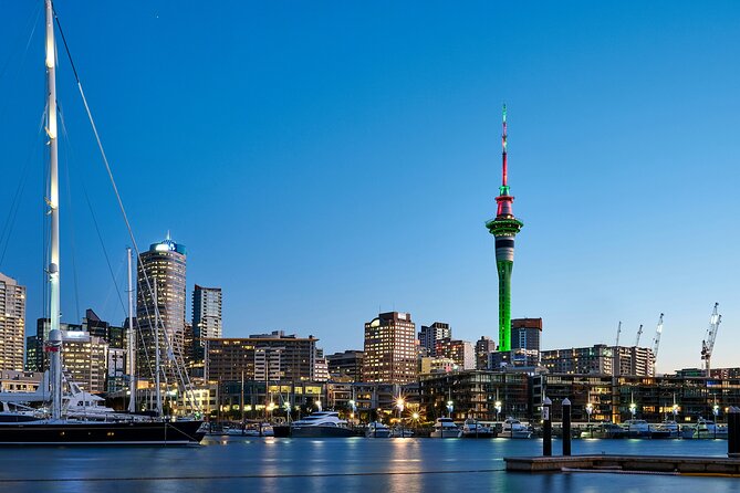 Auckland City Top Sights Half Day Tour - Small Group - Auckland Harbour Bridge: a quick look at the city’s main link