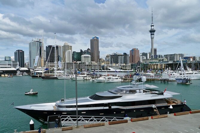 Auckland City Top Sights Half Day Tour - Small Group - The Winter Garden: a calm pause in Auckland Domain