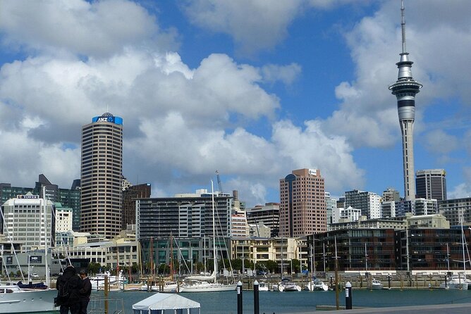 Auckland City Top Sights Half Day Tour - Small Group - The guide and vehicle experience
