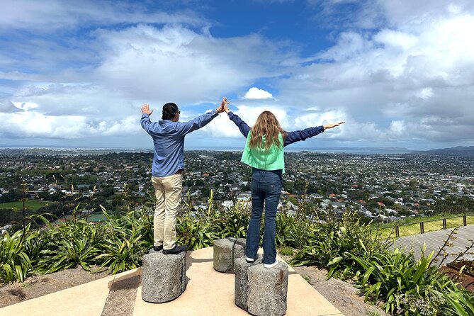 Auckland City Top Spots Half Day Private Tour - Crossing the Harbour Bridge and pausing at Westhaven