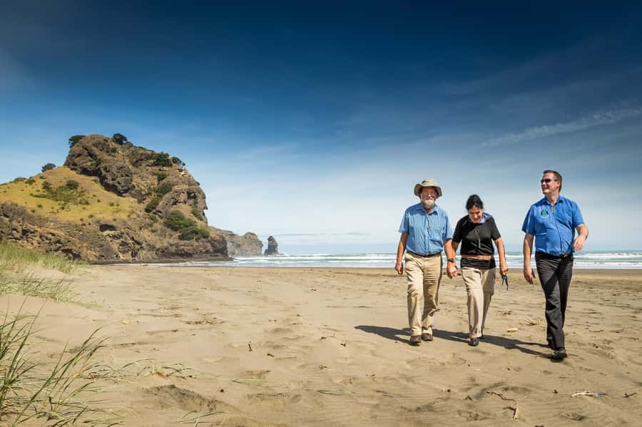Auckland City & West Coast Luxury Tour - Key points to know